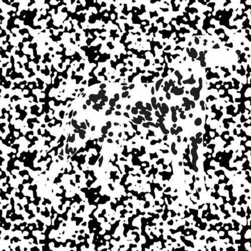 Dalmatian Token ($DM): The ‘Arab Dogecoin’ of the Meme Coin World!